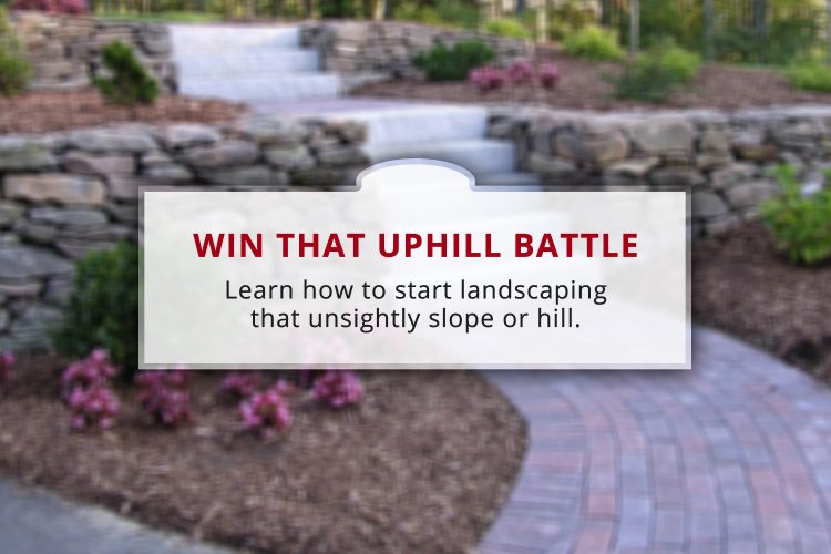 Win the Uphill Battle: How to Landscape a Hill