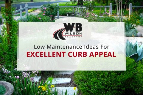 Low Maintenance Landscaping Ideas for Excellent Curb Appeal