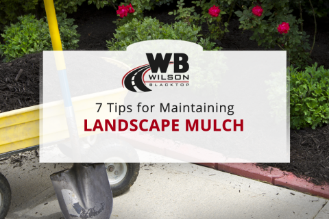7 Tips for Maintaining Landscape Mulch