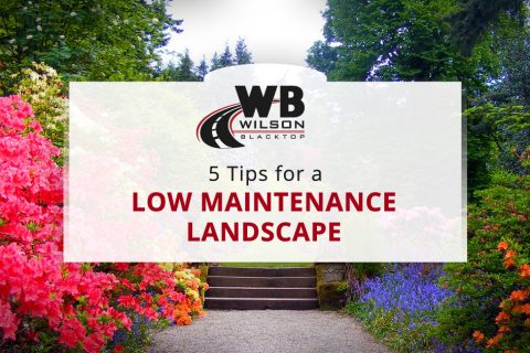 5 Tips for a Low Maintenance Landscape