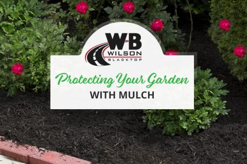 ﻿How to Protect Your Garden with Mulch