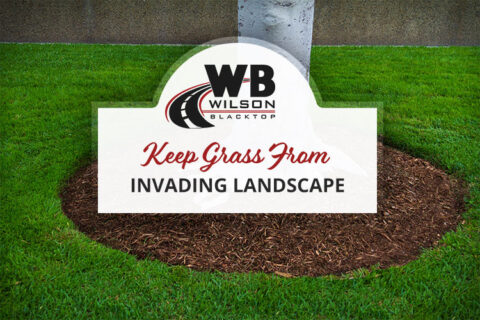 How to Keep Grass From Invading Landscape