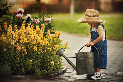Little boy watering flowers with watering can