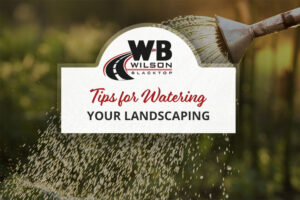 Tips for Watering Landscaping