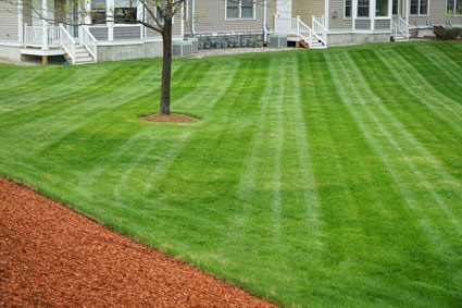 Lawn cut at an angle from house