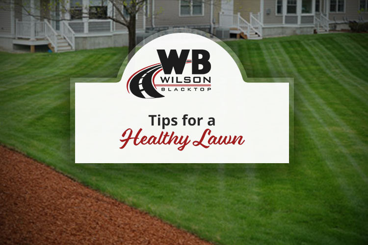 Tips for a Healthy Lawn