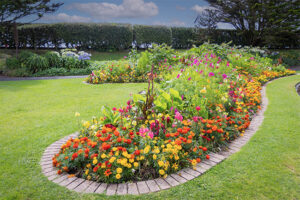 Flower bed with colorful blooms