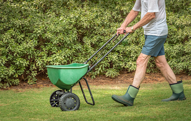 Man seeding residential backyard lawn with manual grass seed spreader.